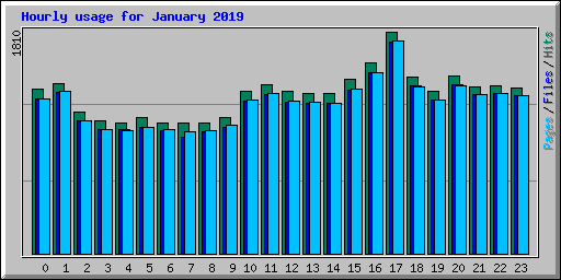 Hourly usage for January 2019