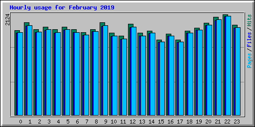 Hourly usage for February 2019